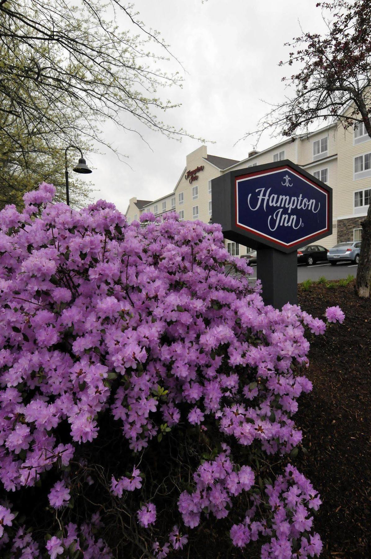 Hampton Inn נשואה מראה חיצוני תמונה
